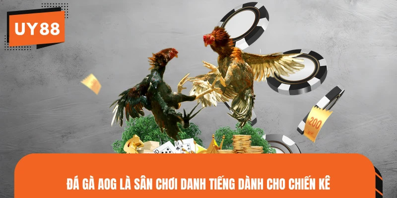 Đá gà AOG là sân chơi danh tiếng dành cho chiến kê